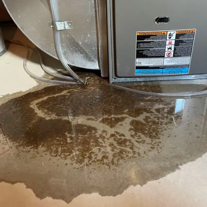 Pipe Burst and Leak Restoration in Hopedale, MA