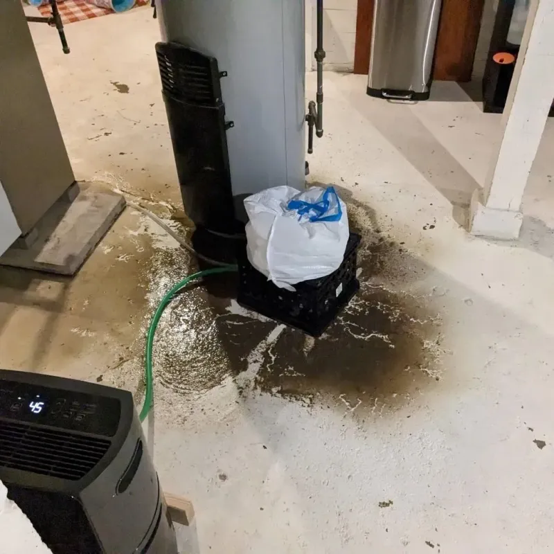 Sewage Backup Cleanup Service in Hopedale, MA